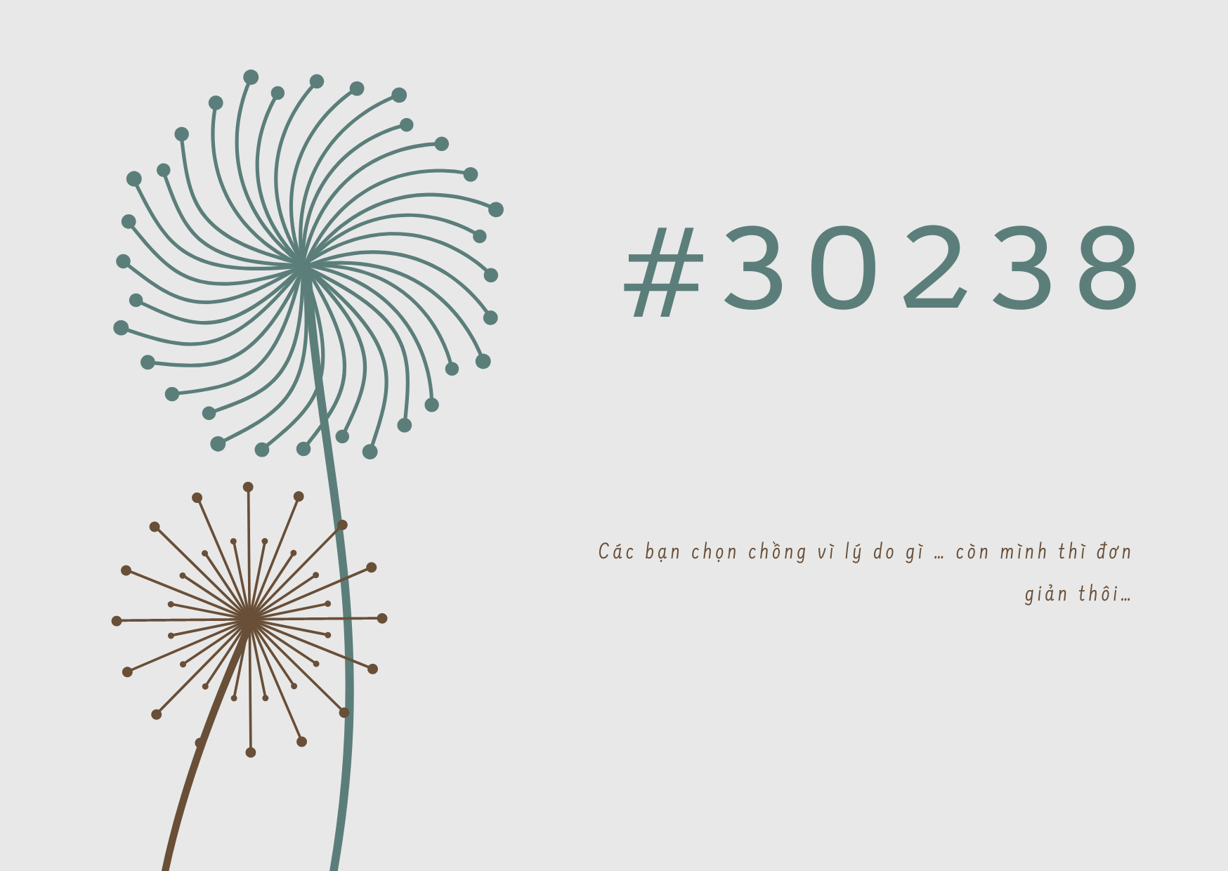 #30238: Các bạn chọn chồng vì lý do gì…còn mình thì đơn giản thôi…
